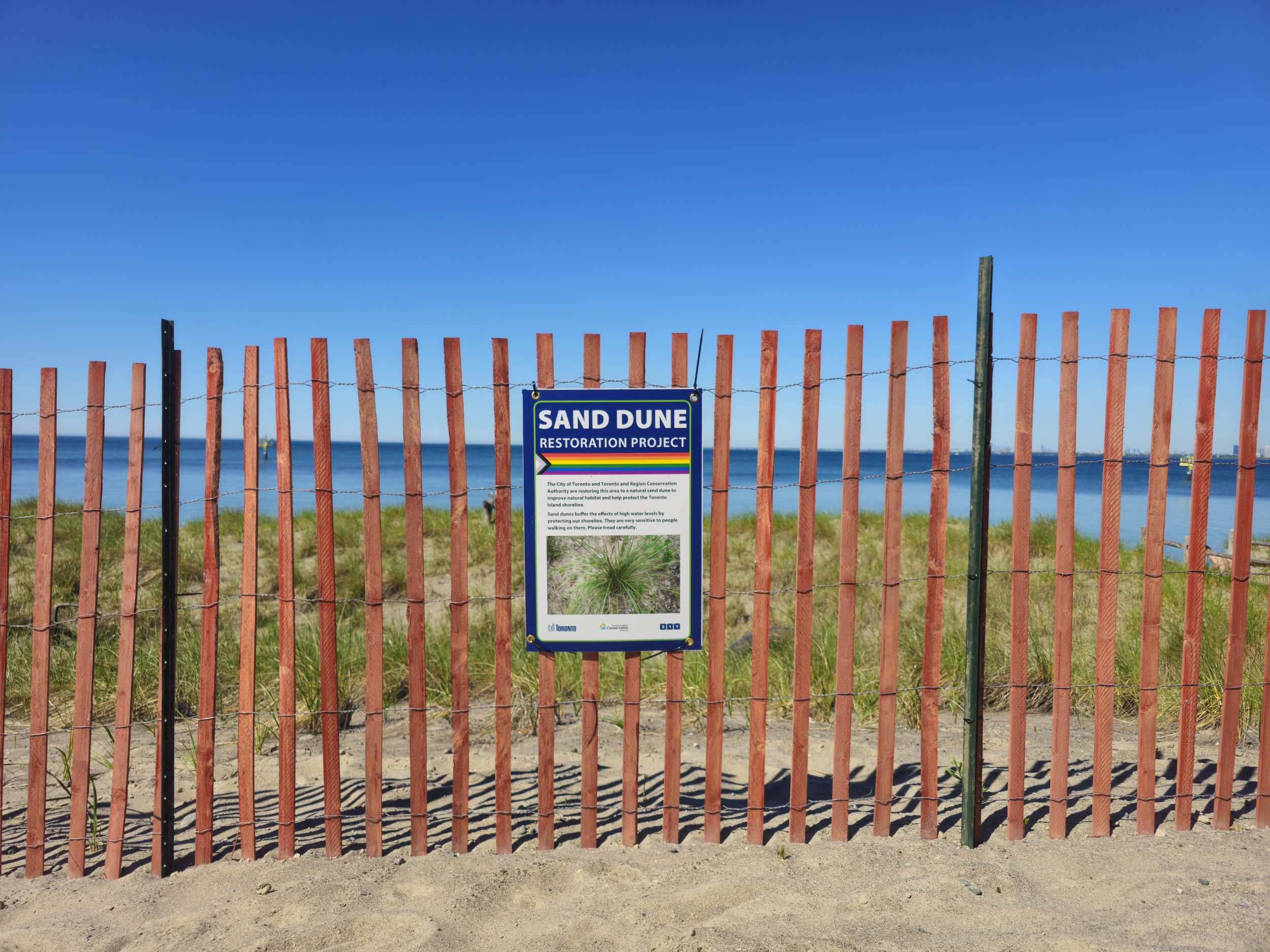 A sign on a fence at Hanlan's Point Beach mentioning an ongoing project by the Toronto and Region Conservation Authority (TRCA) to restore the sand dunes.