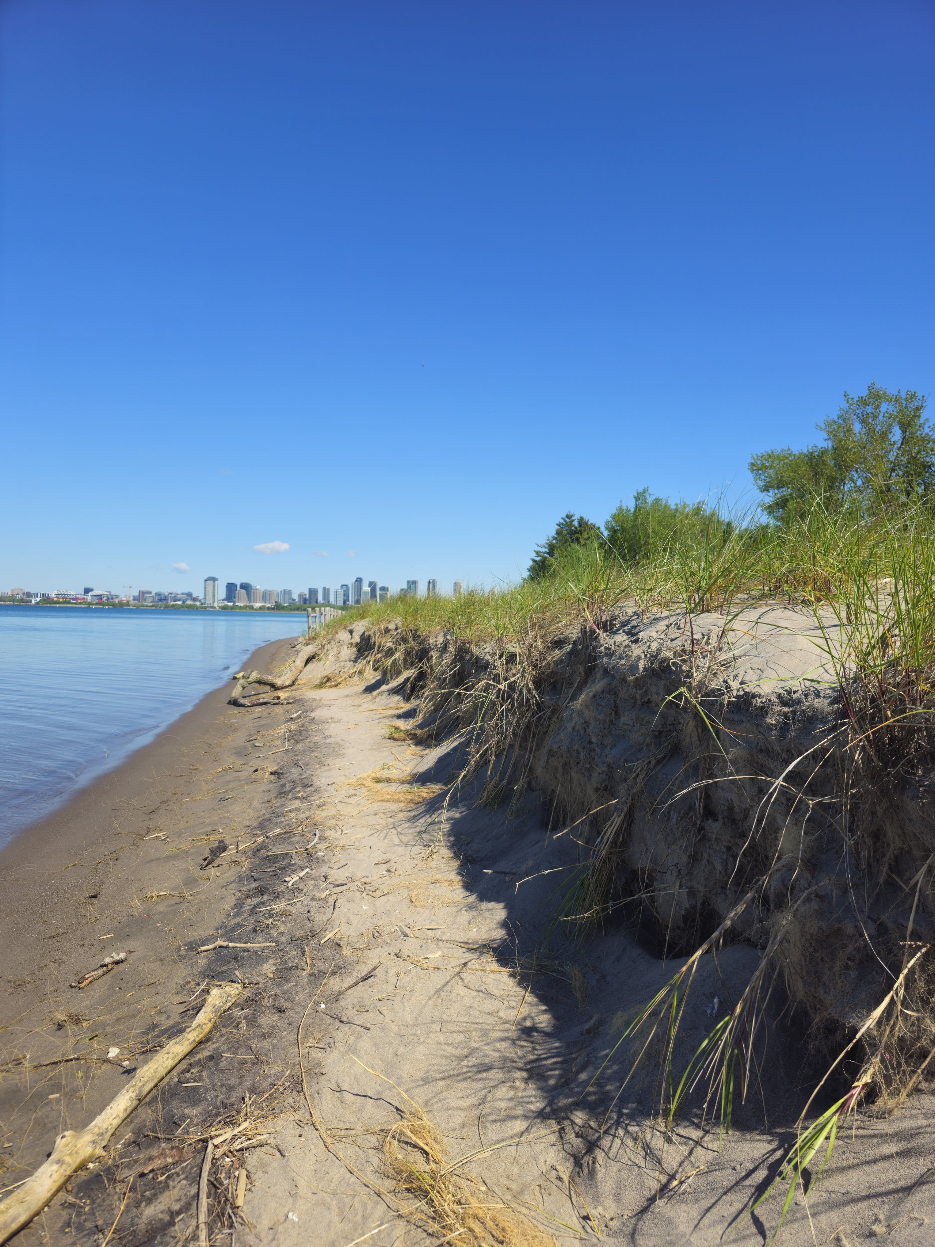 The southern end of Hanlan's Point Beach in early June showing severe signs of erosion and high water levels on Lake Ontario.