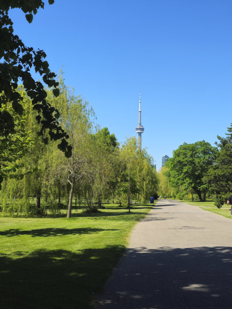 A view of the CN Tower from the perspective of a path on Hanlan's Point.
