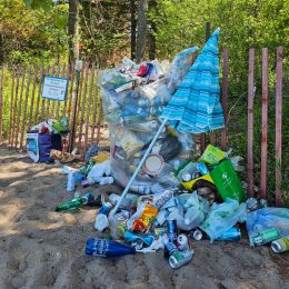 A pile of garbage at Hanlan's Point Beach in Toronto.